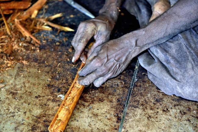 Ceylon spices being prepared for export in Sri Lanka